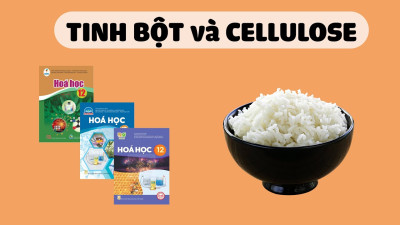 [HÓA 12] TINH BỘT VÀ CELLULOSE